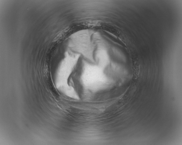 X0000076070704200610202014