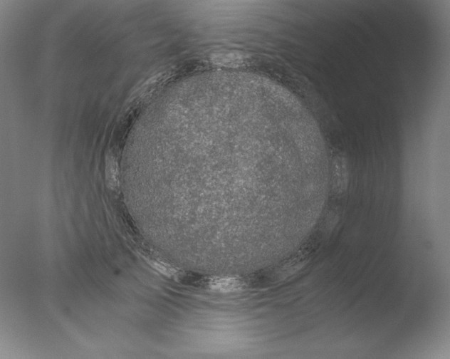 X0000076070705200610202014