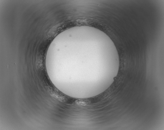 X0000076070706200610202014