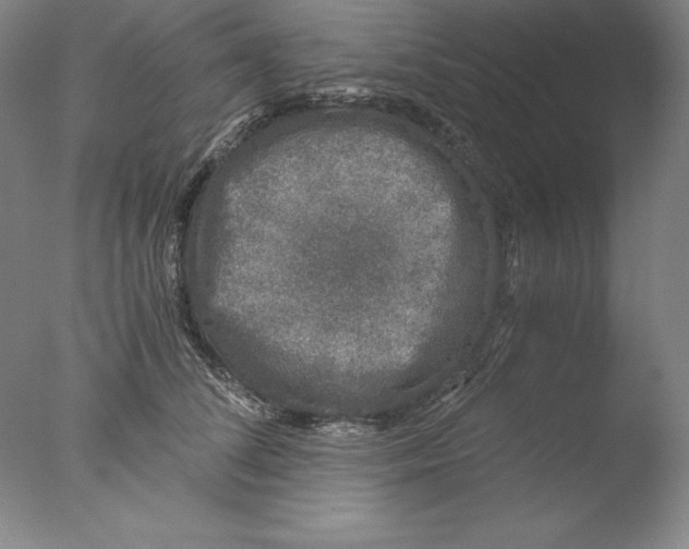 X0000076070708200610202014