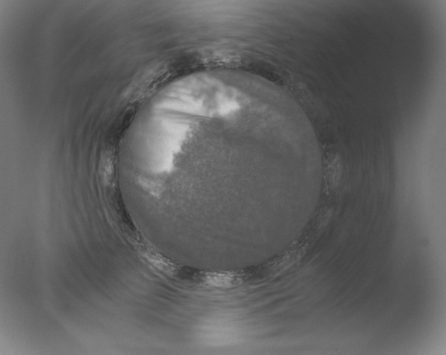 X0000076070709200610202014