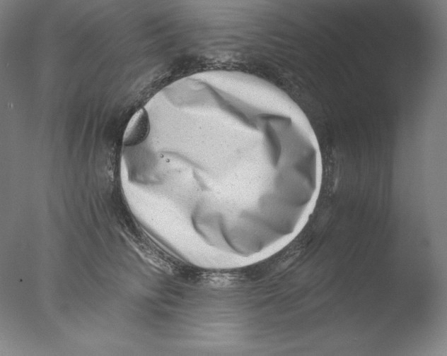 X0000076070710200610202014