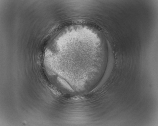 X0000076070712200610202014