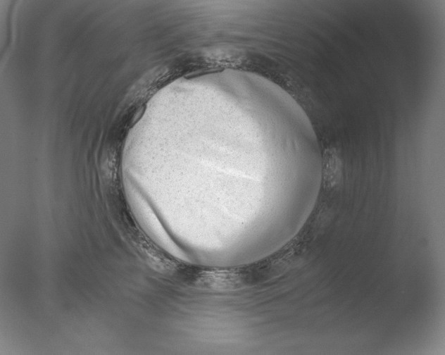 X0000076070713200610202014