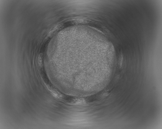 X0000076070715200610202014