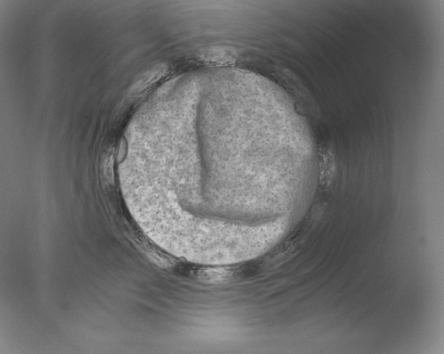 X0000076070717200610202014