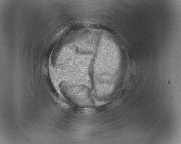 X0000076070719200610202014