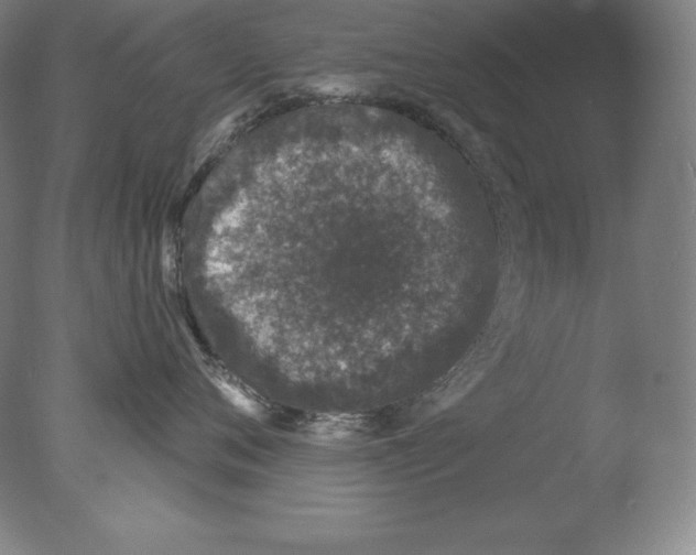 X0000076070720200610202014