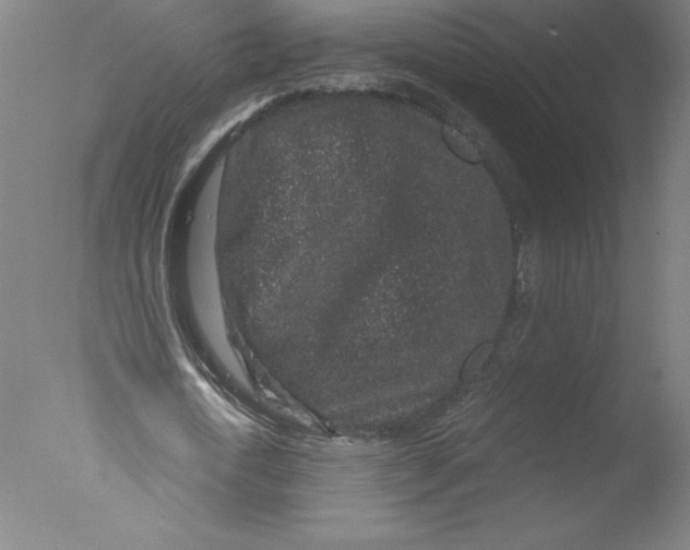 X0000076070722200610202013