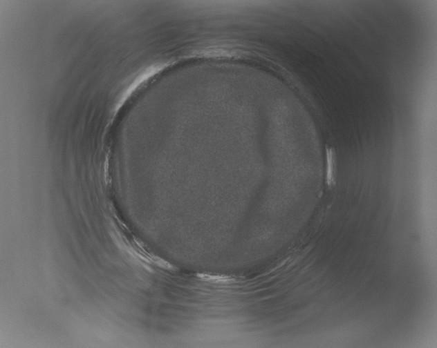 X0000076070723200610202013