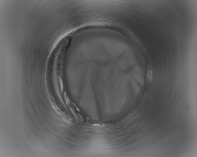 X0000076070724200610202013