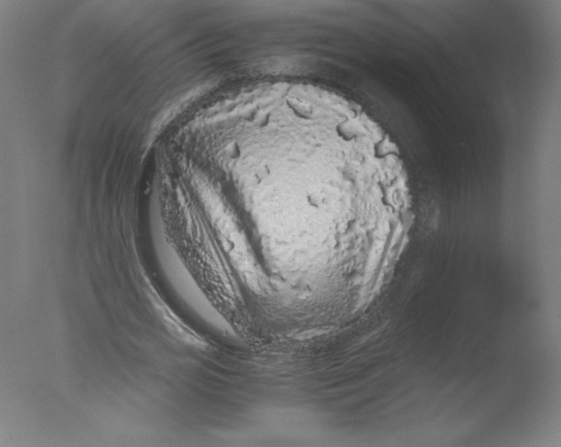 X0000076070725200610202013