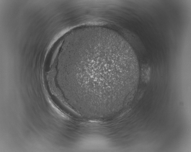 X0000076070726200610202013