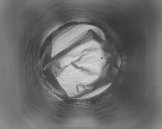 X0000076070727200610202013