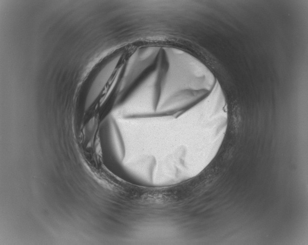 X0000076070728200610202013