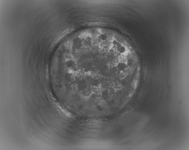 X0000076070729200610202013