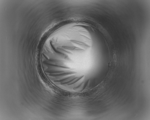 X0000076070730200610202013