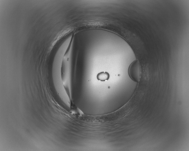 X0000076070731200610202013