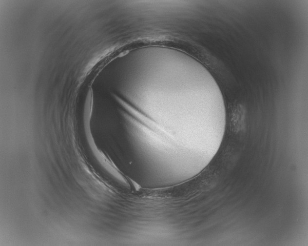 X0000076070732200610202013