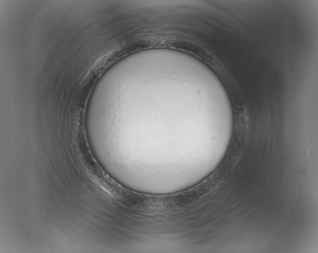 X0000076070733200610202013