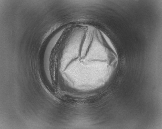 X0000076070734200610202013