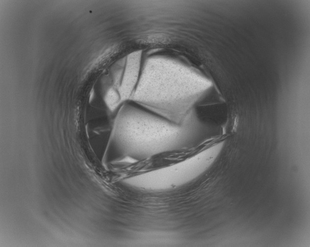 X0000076070735200610202013