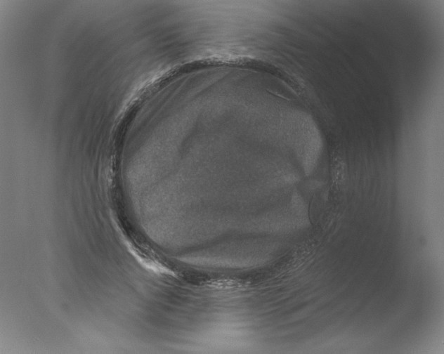 X0000076070736200610202013