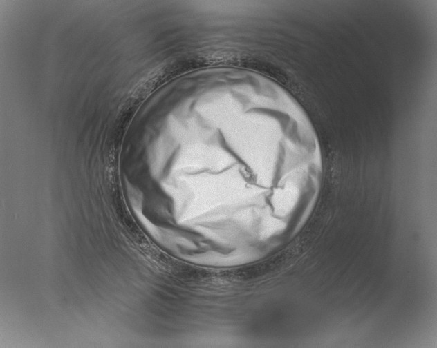 X0000076070737200610202013