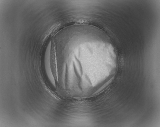 X0000076070738200610202013