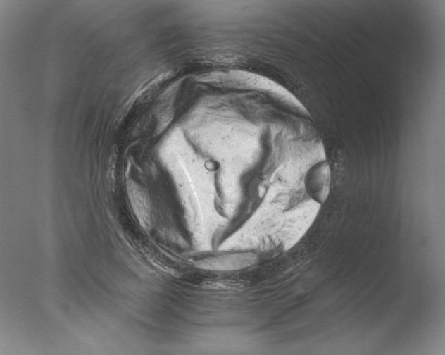 X0000076070739200610202013