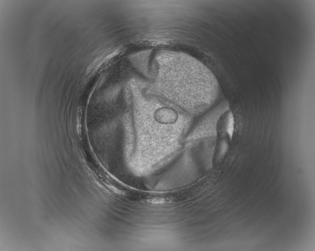 X0000076070740200610202013