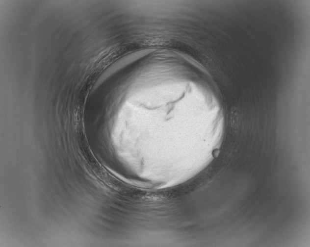 X0000076070741200610202013