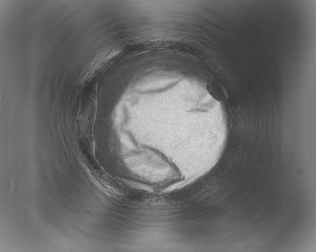 X0000076070742200610202013