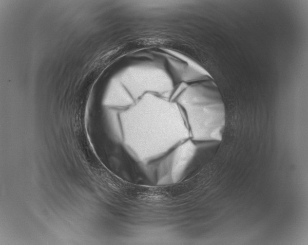 X0000076070743200610202013