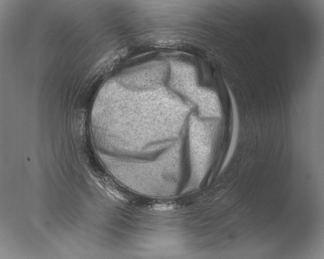 X0000076070744200610202014