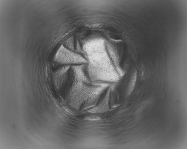 X0000076070747200610202014