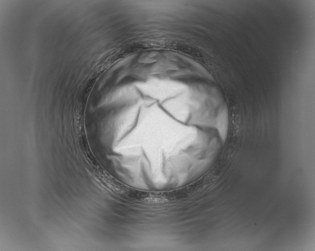 X0000076070749200610202014