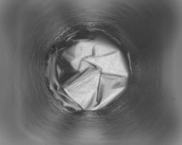 X0000076070750200610202014