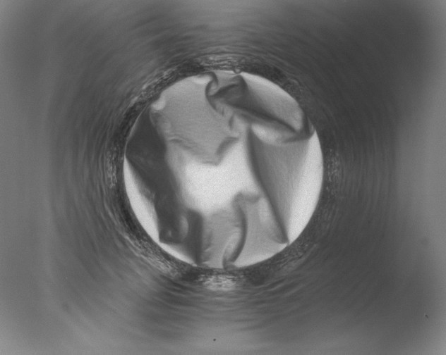 X0000076070751200610202014