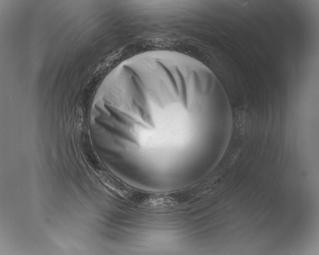 X0000076070752200610202014