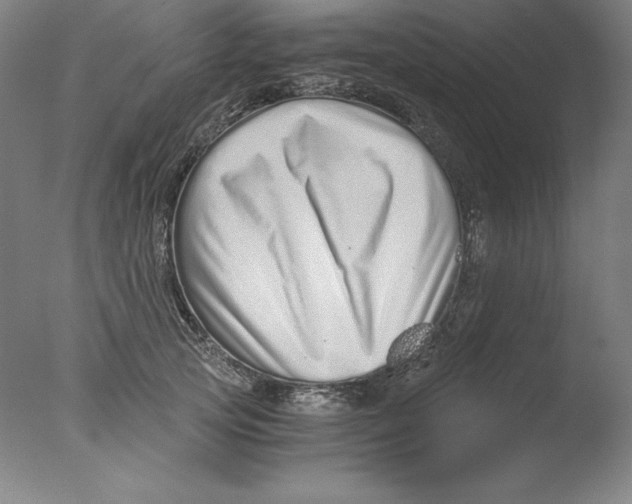 X0000076070753200610202014