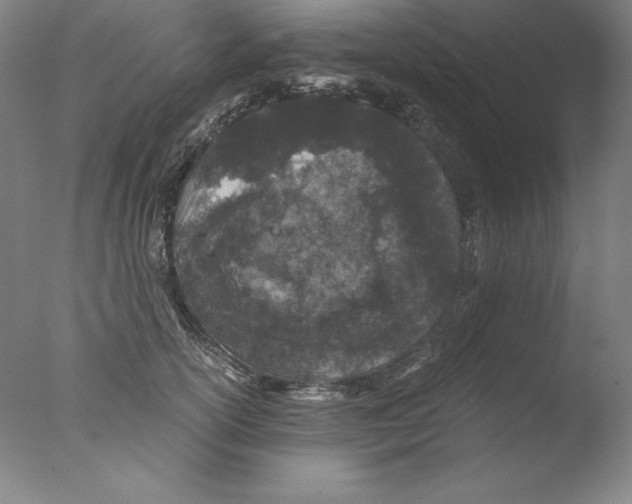 X0000076070754200610202014