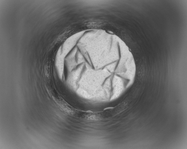 X0000076070755200610202014