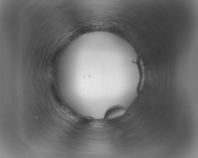 X0000076070756200610202014