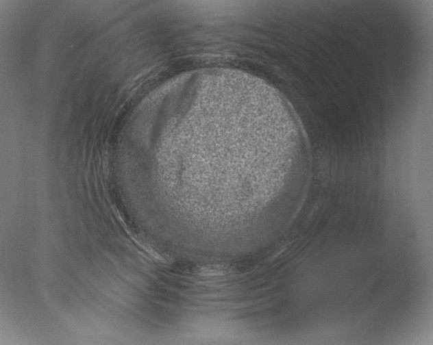 X0000076070757200610202014