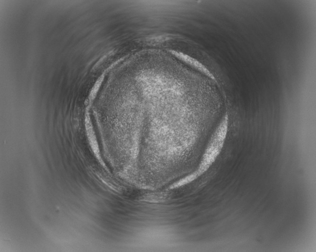 X0000076070758200610202014