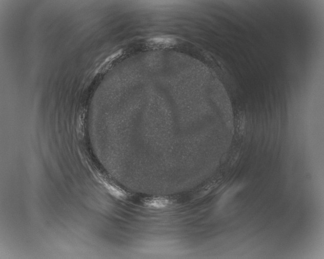 X0000076070759200610202014