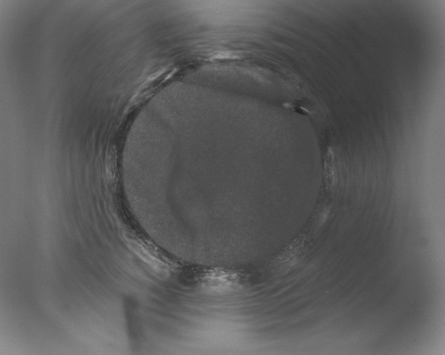 X0000076070760200610202014