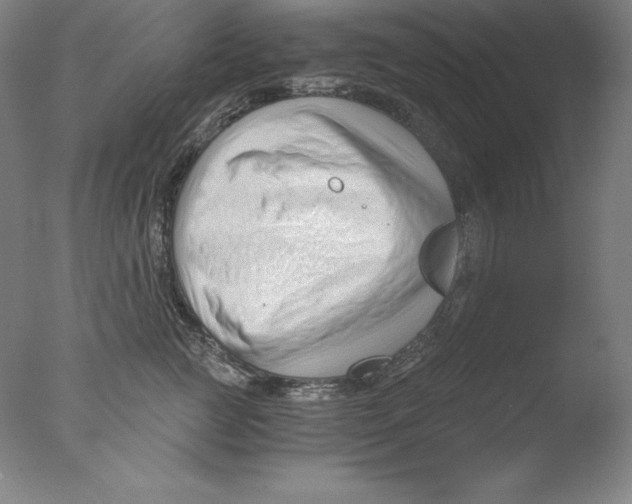 X0000076070761200610202014