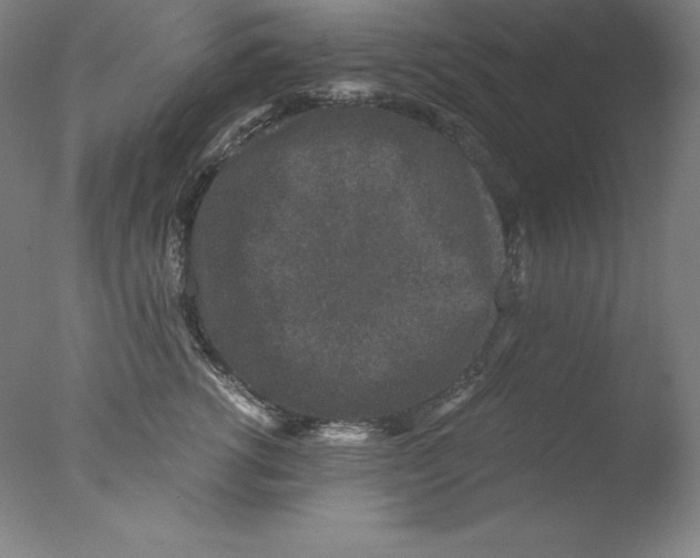 X0000076070762200610202014